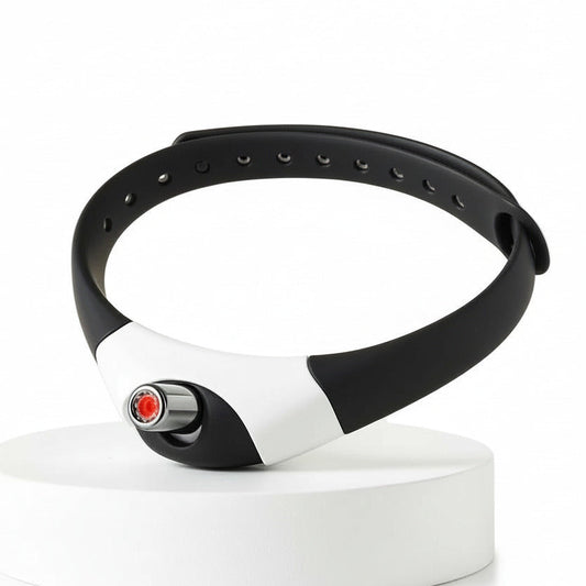 LaserPounce™ Premium Cat Exercise Laser Toy