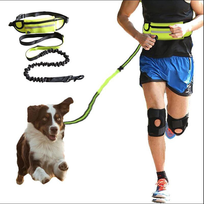 PawStride™ Hands-Free Dog Leash & Training Belt